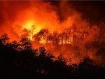 Feu de forêt le temps de nuit sur la montagne avec la grande fumée.