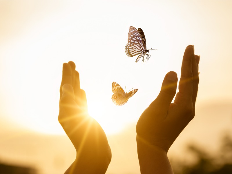 La jeune fille libère le papillon à partir du moment Concept de liberté.